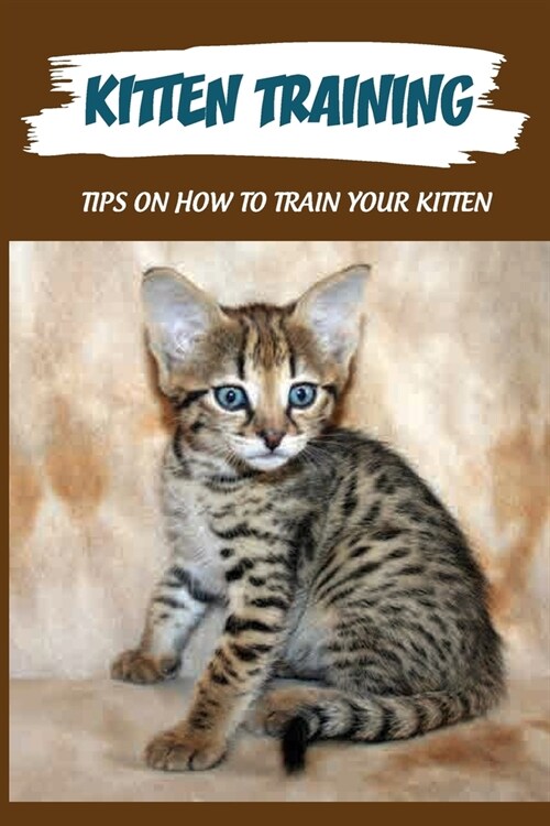 Kitten Training: Tips On How To Train Your Kitten: At What Age Can You Start Training A Kitten? (Paperback)