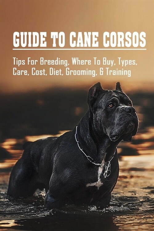 Guide To Cane Corsos: Tips For Breeding, Where To Buy, Types, Care, Cost, Diet, Grooming, & Training: Tips In Training Your Cane Corso (Paperback)