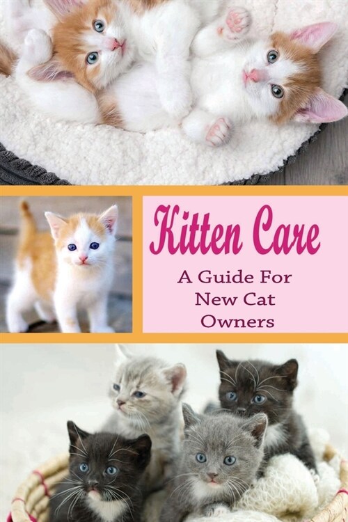 Kitten Care: A Guide for New Cat Owners: How Do You Take Care Of A Kitten For Beginners? (Paperback)