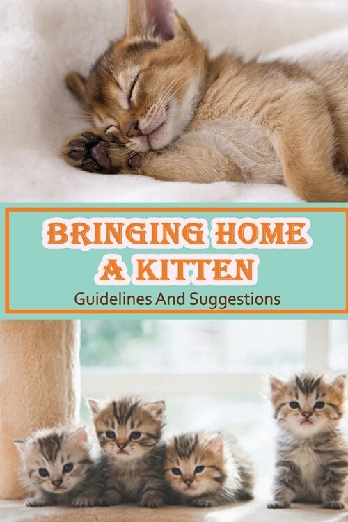 Bringing Home A Kitten: Guidelines And Suggestions: Are Kittens Easy To Train? (Paperback)