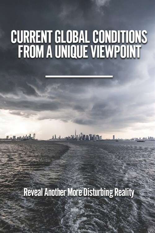 Current Global Conditions From A Unique Viewpoint: Reveal Another More Disturbing Reality: A Lullaby Cries In The Night (Paperback)