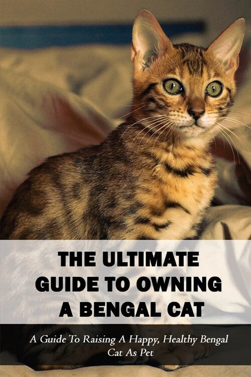 The Ultimate Guide To Owning A Bengal Cat: A Guide To Raising A Happy, Healthy Bengal Cat As Pet: How To Breed Bengal Cats (Paperback)