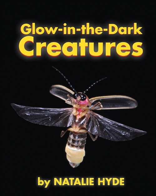Glow-In-The-Dark Creatures (Paperback)