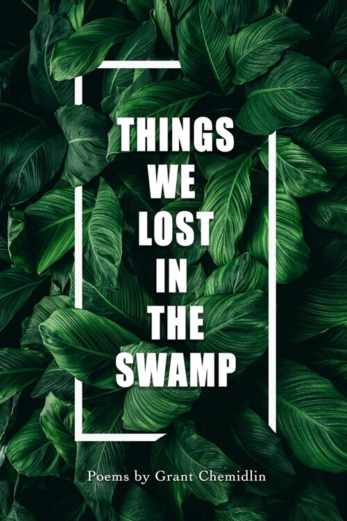 Things We Lost In The Swamp (Paperback)