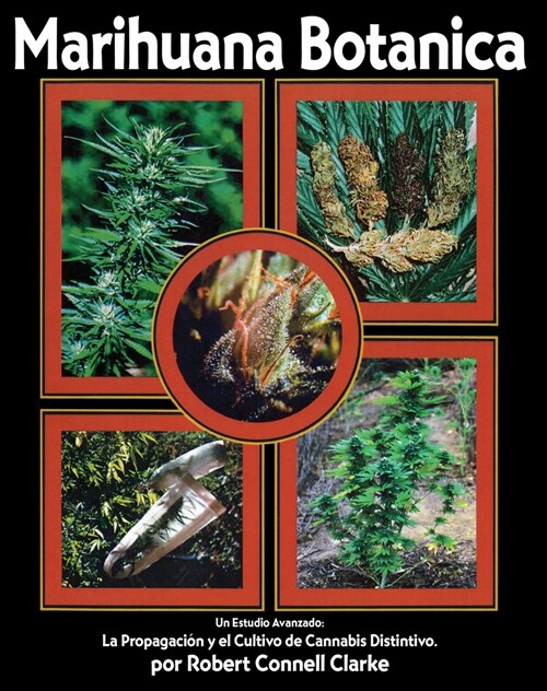 Marihuana Botanica: La Propagacion Y El Cultivo Cannabis Distintivo (Paperback)