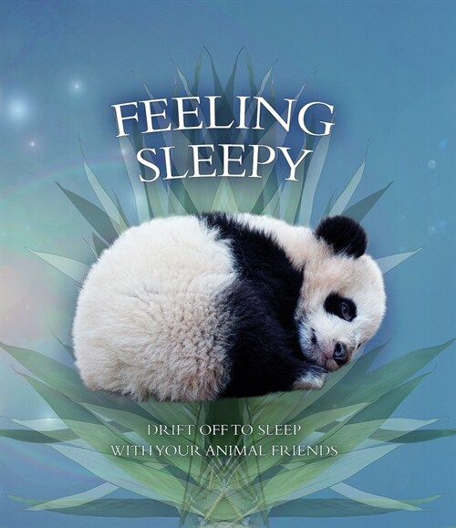 Feeling Sleepy: Drift Off to Sleep with Your Animal Friends (Board Books)