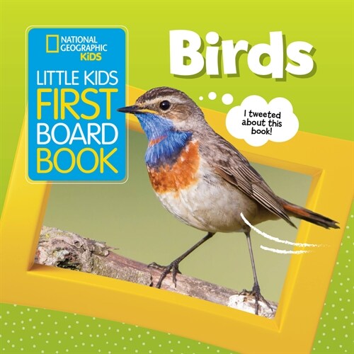 Little Kids First Board Book: Birds (Board Books)