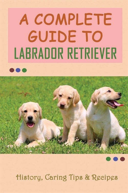 A Complete Guide To Labrador Retriever: History, Caring Tips & Recipes: Are Labradors Easy To Take Care Of? (Paperback)