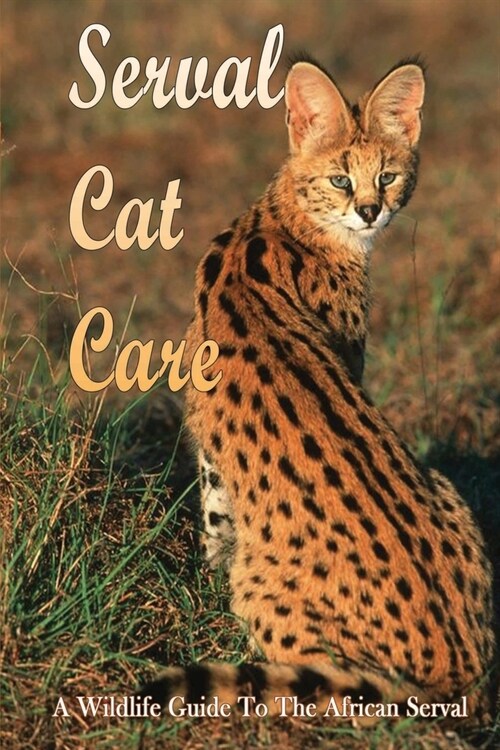 Serval Cat Care: A Wildlife Guide To The African Serval: Facts About The Exotic Breed (Paperback)