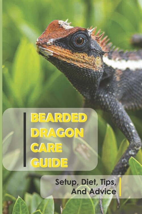 Bearded Dragon Care Guide: Setup, Diet, Tips, And Advice: How To Take Care Of A Baby Bearded Dragon (Paperback)