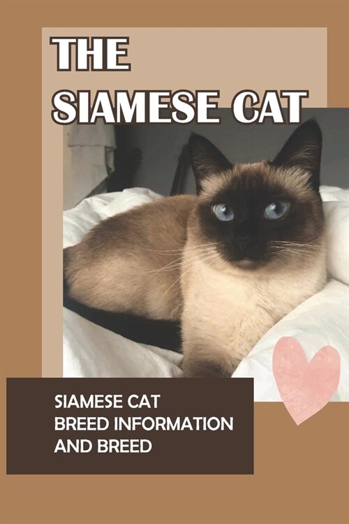 The Siamese Cat: Siamese Cat Breed Information And Breed: What Does A Siamese Kitten Need? (Paperback)