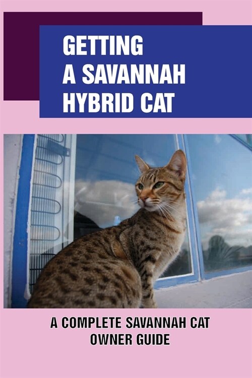 Getting A Savannah Hybrid Cat: A Complete Savannah Cat Owner Guide: Train And Play With Your New Savannah Kitten (Paperback)