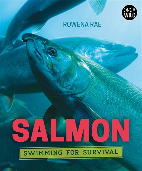 Salmon: Swimming for Survival (Hardcover)