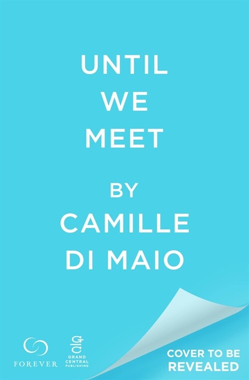 Until We Meet (Paperback)