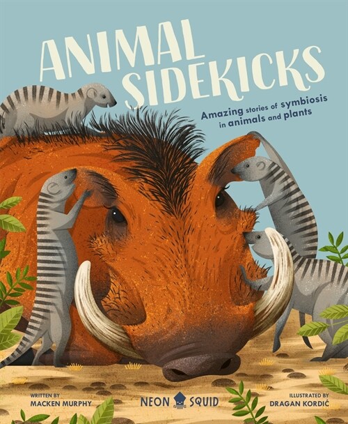 Animal Sidekicks: Amazing Stories of Symbiosis in Animals and Plants (Hardcover)