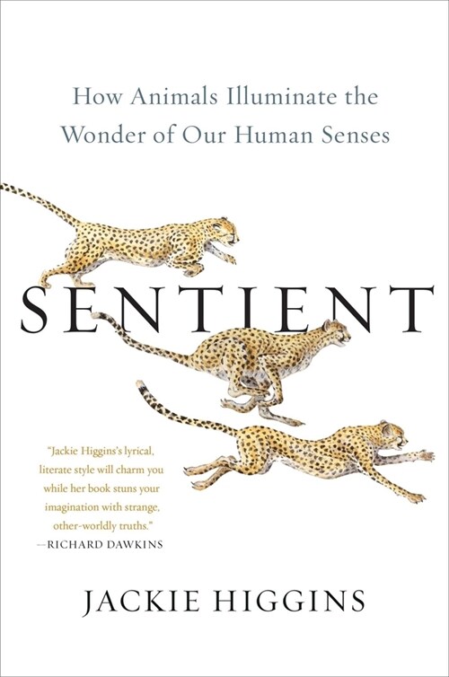 Sentient: How Animals Illuminate the Wonder of Our Human Senses (Hardcover)