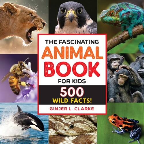 The Fascinating Animal Book for Kids: 500 Wild Facts! (Hardcover)
