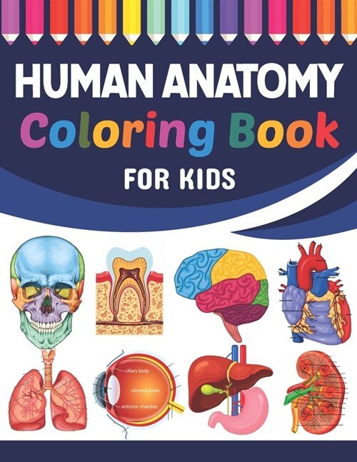 Human Anatomy Coloring Book For Kids: Fun and Easy Human Anatomy Coloring Book for Kids. Human Anatomy and Human Body Coloring Book. Brain Heart Lung (Paperback)