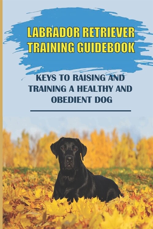 Labrador Retriever Training Guidebook: Keys To Raising And Training A Healthy And Obedient Dog: Labrador Retriever Training System (Paperback)