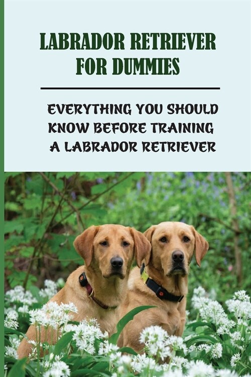 Labrador Retriever For Dummies: Everything You Should Know Before Training A Labrador Retriever: Labrador Retriever Training Guide (Paperback)