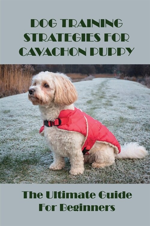 Dog Training Strategies For Cavachon Puppy: The Ultimate Guide For Beginners: How To Train A Cavachon Puppy To Do Things (Paperback)