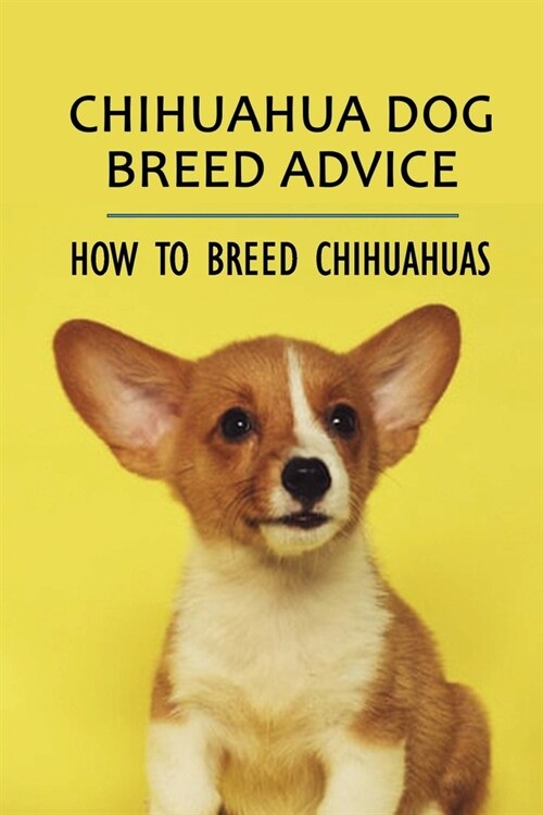 Chihuahua Dog Breed Advice: How To Breed Chihuahuas: What Day Do I Breed My Chihuahua Dog? (Paperback)