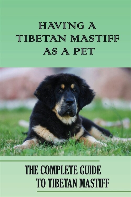 Having A Tibetan Mastiff As A Pet: The Complete Guide To Tibetan Mastiff: Tibetan Mastiff Training Tips (Paperback)