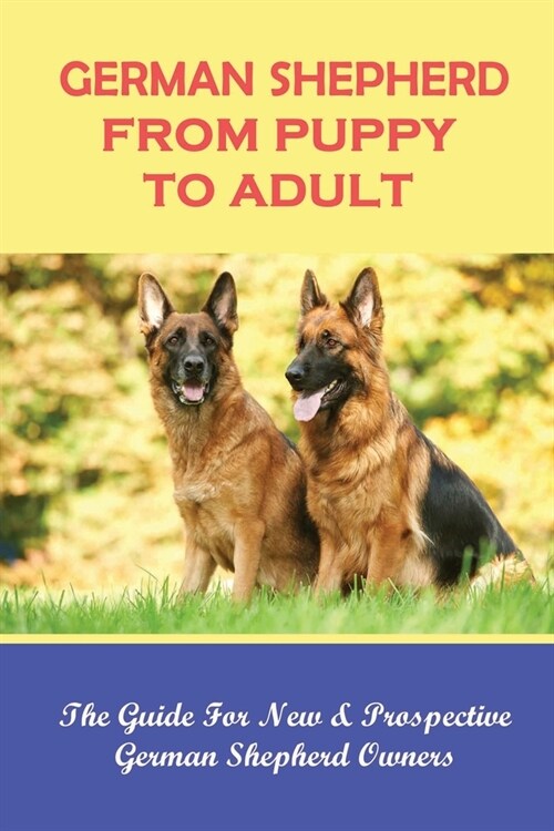 German Shepherd From Puppy To Adult: The Guide For New & Prospective German Shepherd Owners: Things You Need To Know About German Shepherds (Paperback)