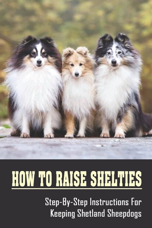 How To Raise Shelties: Step-By-Step Instructions For Keeping Shetland Sheepdogs: Shelties OwnerS Guide (Paperback)