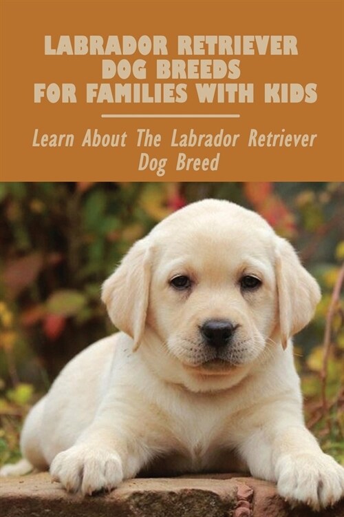 Labrador Retriever Dog Breeds For Families With Kids: Learn About The Labrador Retriever Dog Breed: Labrador Retriever Personality (Paperback)