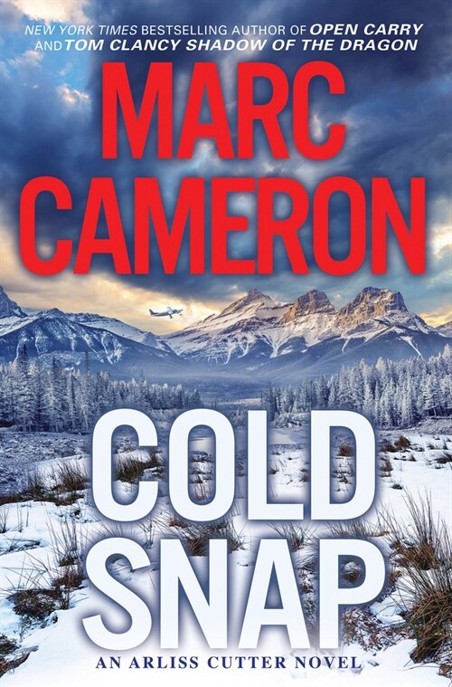 Cold Snap: An Action Packed Novel of Suspense (Hardcover)