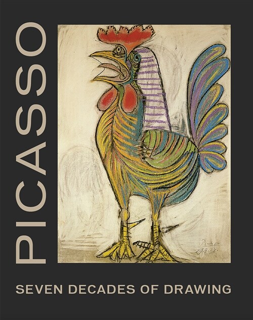 Picasso: Seven Decades of Drawing (Hardcover)