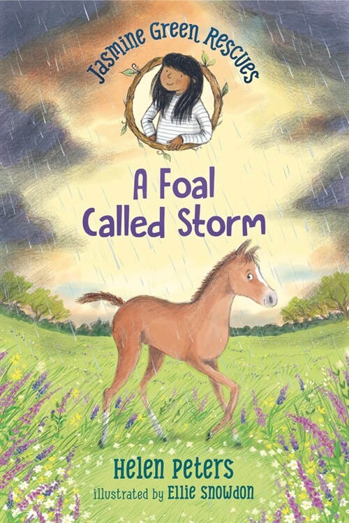 Jasmine Green Rescues: A Foal Called Storm (Hardcover)