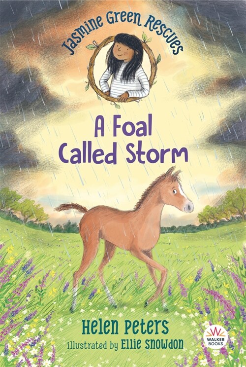 Jasmine Green Rescues: A Foal Called Storm (Paperback)