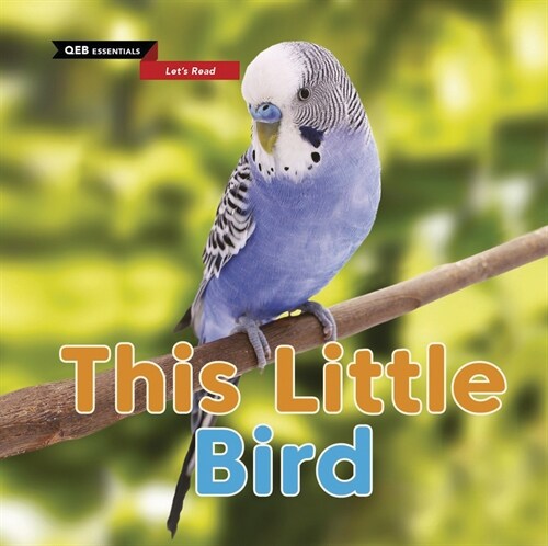 This Little Bird (Hardcover)