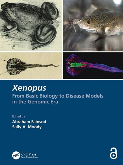 Xenopus : From Basic Biology to Disease Models in the Genomic Era (Paperback)