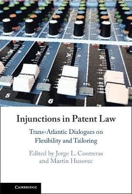 Injunctions in Patent Law : Trans-Atlantic Dialogues on Flexibility and Tailoring (Hardcover)