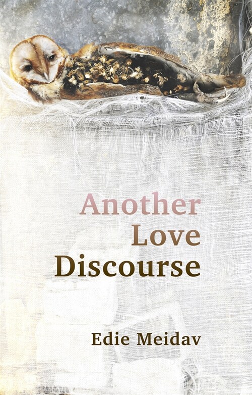 Another Love Discourse (Paperback)