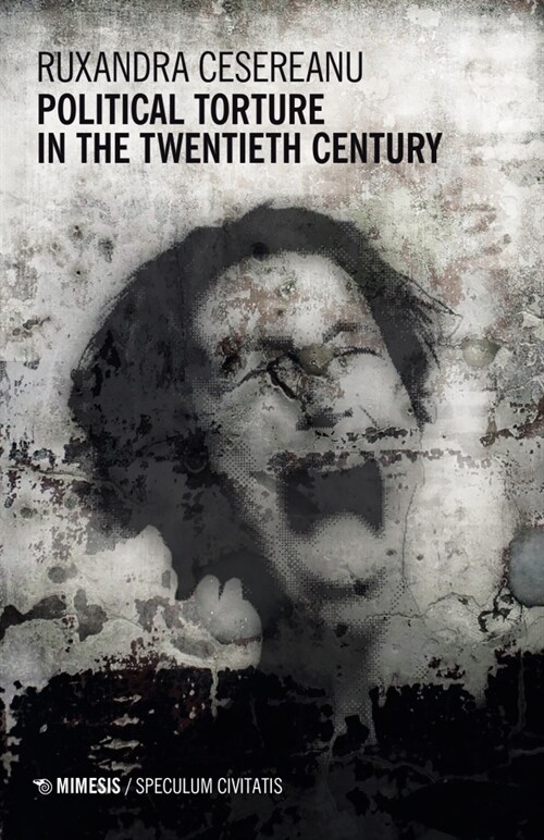 Political Torture in the Twentieth Century (Paperback)