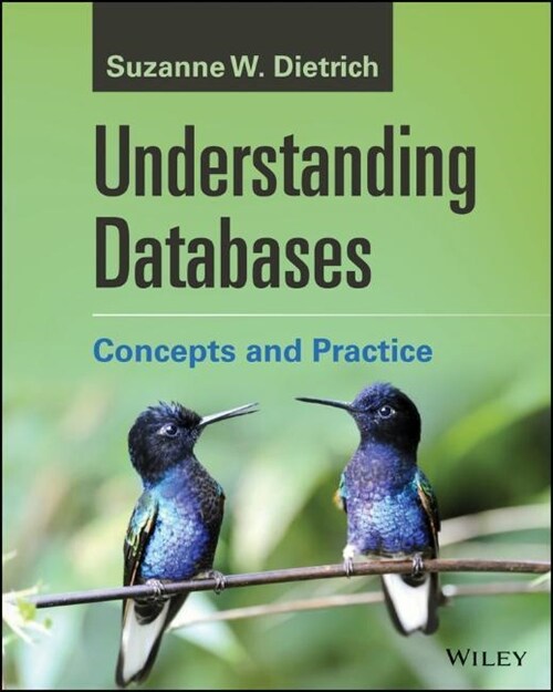 Understanding Databases : Concepts and Practice (Paperback)