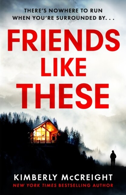 Friends Like These : How well do you really know your friends? (Paperback)