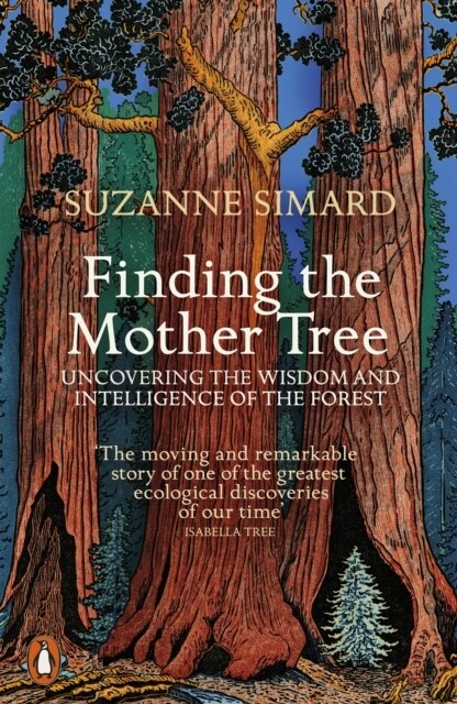 Finding the Mother Tree : Uncovering the Wisdom and Intelligence of the Forest (Paperback)