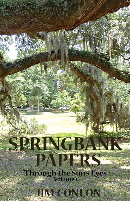 Springbank Papers: Through the Suns Eyes (Paperback)