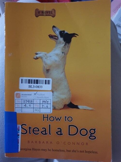 [중고] How to Steal a Dog (Paperback, 미국판)