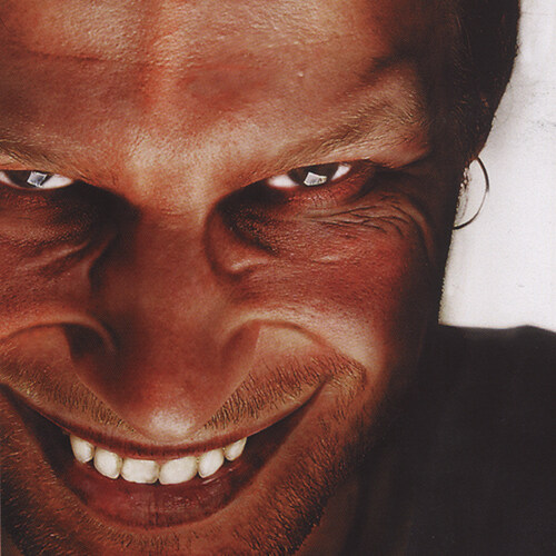 [수입] Aphex Twin - Richard D. James Album [180g LP]