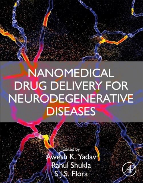 Nanomedical Drug Delivery for Neurodegenerative Diseases (Paperback)