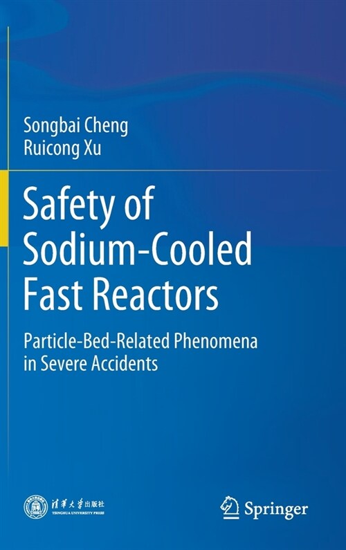 Safety of Sodium-Cooled Fast Reactors: Particle-Bed-Related Phenomena in Severe Accidents (Hardcover)