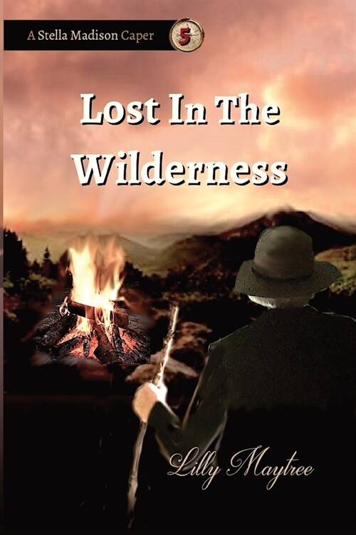 Lost In The Wilderness: A Stella Madison Caper (Paperback)