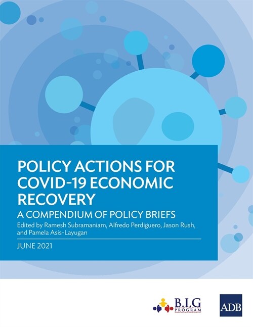 Policy Actions for COVID-19 Economic Recovery: A Compendium of Policy Briefs (Paperback)