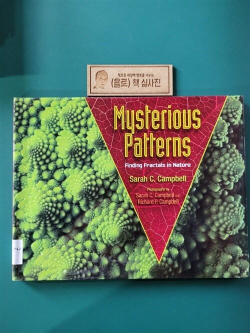 [중고] Mysterious Patterns: Finding Fractals in Nature (Hardcover)